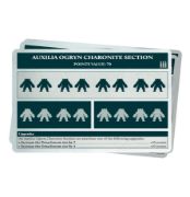 Solar Auxilia Formation and Datasheet Cards