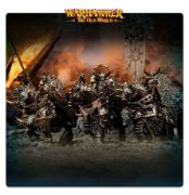 warriors of chaos chaos knights 2026